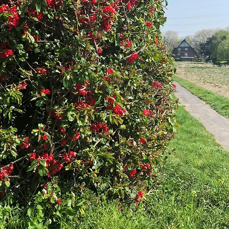 Oase Lejlighed Hürth